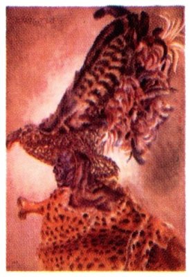 Tribe: Kisa - Name: Shigokho Mabule